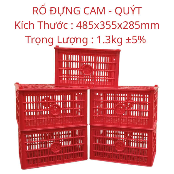 RỖ ĐỰNG CAM - QUÝT