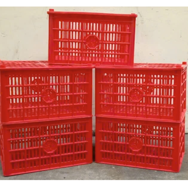 RỖ ĐỰNG CAM - QUÝT