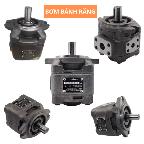 BƠM THỦY LỰC, NHÃN HIỆU SUNNY